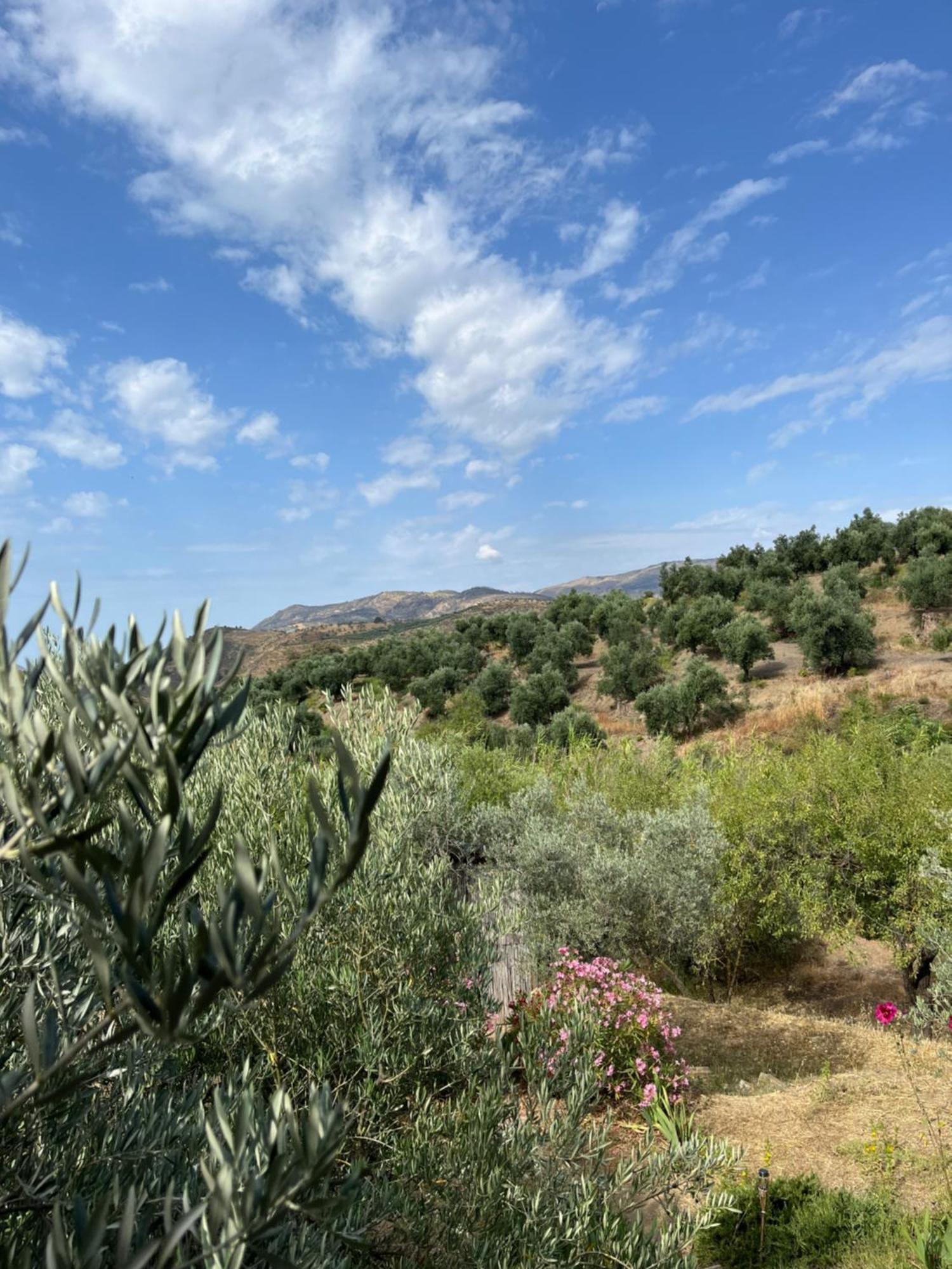 Cortijo Alhijra Big Yourte Lanjarón Eksteriør billede